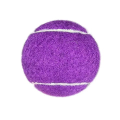 Mint Green Macaron Tennis Balls Professional Training Light Series 1.2m/1.47m Bounce Height High Elasticity Durable PET Play