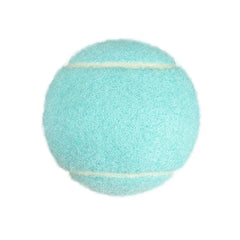 Professional Training Macaron Tennis Balls Colorful High Elasticity PET 1.2m/1.47m Bounce Height Portable Entertainment