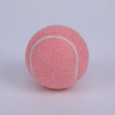 Professional High Elasticity Resistance Training Tennis Balls 2.5\" Durable Balls 1.45m Elastic Beginner Pink Sports Application