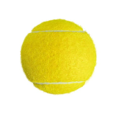 Mint Green Macaron Tennis Balls Professional Training Light Series 1.2m/1.47m Bounce Height High Elasticity Durable PET Play