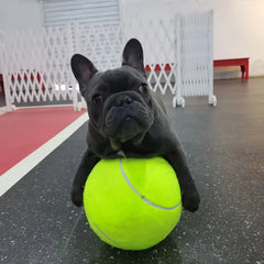 24cm Durable 9.5 Inch Sports Tennis Ball Eco-Friendly Fabric Rubber Pet Bite Toy Training Entertainment Portable